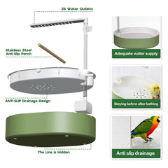 POMFAEE plusieurs oiseaux baignants illustrant espace pour interactions ludiques