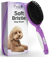 POODLIE brosse face avant montrant design et ergonomie pour un brossage efficace