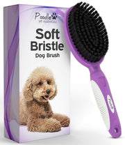 POODLIE brosse face avant montrant design et ergonomie pour un brossage efficace