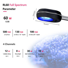 PopBloom RL60 lentille en verre détaillée offrant une illumination homogène