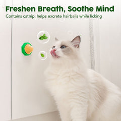 Potaroma balle ouverte montrant l'herbe à chat et contenu nutritif pour attirer le chat