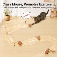 Potaroma gros plan texture fourrure douce pour stimuler le toucher du chat