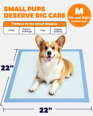 Powools gros plan pli du pad montrant surface douce et protection