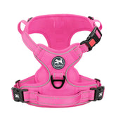 PoyPet harnais face avant montrant coupe et boucles, maintien confortable