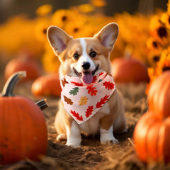 Preboun comparaison taille bandana sur collier adaptable à plusieurs chiens
