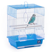Prevue cage face avant bleu blanc présentant design et compacité
