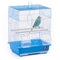 Prevue cage face avant bleu blanc présentant design et compacité