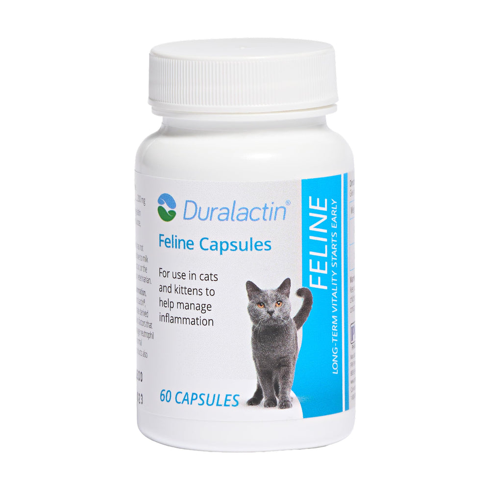 PRN Pharmacal flacon Duralactin Feline montrant l'emballage et l'identification claire