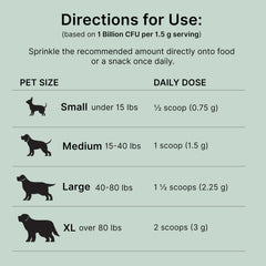 Proactive Paws poudre mélangée aux croquettes montrant appétence et équilibre digestif