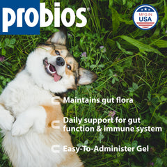 Probios Probiocin seringue graduée avec marquages pour dosage précis