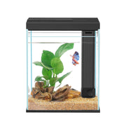 Pronetcus aquarium face avant verre clair vue nette et esthétisme