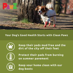 Protex PawZ bottine ouverte montrant souplesse pour un enfilage facile