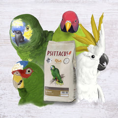 Psittacus étiquette détaillée ingrédients, avantage transparence qualité