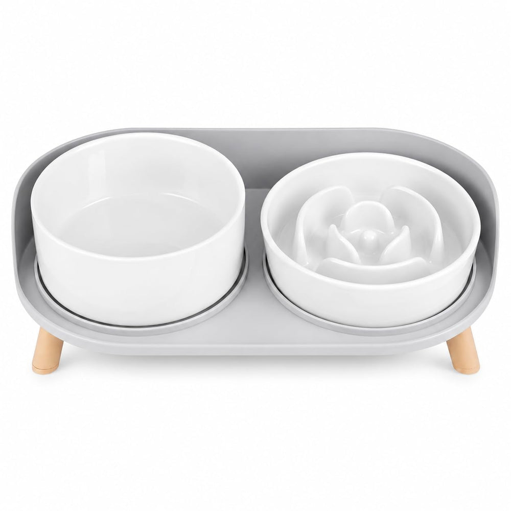 PTOBER gamelle face avant montrant bol et support, réduit désordre