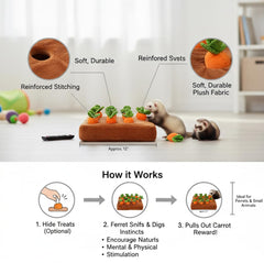 PUMEXFE douze carottes amovibles alignées pour cacher des friandises