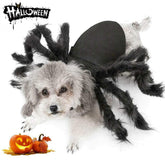 Puoyis costume araignée vu de face donnant un look Halloween saisissant
