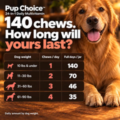 Pup Choice coupe transversale du chew révélant la texture intérieure