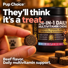 Pup Choice chews dans la main pour comparaison de taille et portion