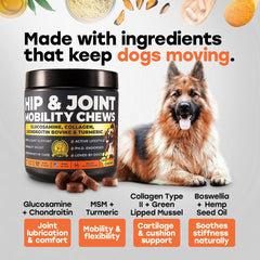 Paume tenant chews Pup Choice, illustre taille pratique et administration quotidienne