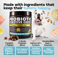 Ingrédients Pup Choice papaye et citrouille visibles pour digestion et fibres