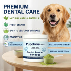 Pupdose Dental cuillère enfouie dans le pot facilitant le dosage précis