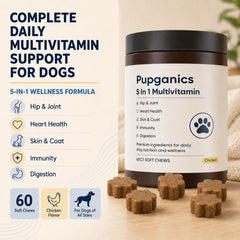 Pupganics friandise gros plan mettant en valeur goût poulet et appétence