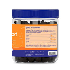 PupGrade croquette en main illustrant taille et facilité de partage