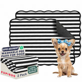 PUPIBOO face avant montrant le design élégant et protection durable