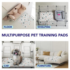 PUPIBOO chiot utilisant le tapis pour apprentissage et confort