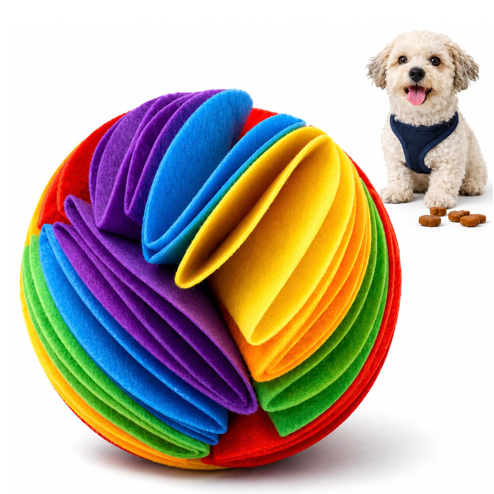 PUPIO balle pliable vue de face montrant couleurs et design, favorise jeu interactif