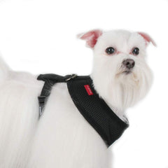 Puppia boucle à dégagement rapide visible pour un retrait facile