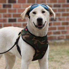 Puppia harnais boucle à détachement rapide pour mise en place facile