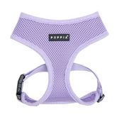 Puppia harnais violet vue avant présentant fermeture rapide et maintien sûr