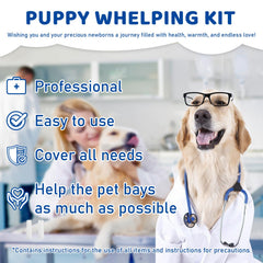 Generic puppy kit outils inox gros plan montrant ciseaux et pinces pour sécurité