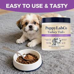 PUPPYLABCO poudre mélangée aux croquettes pour meilleure appétence