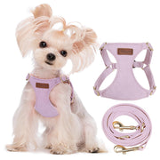Puppytie harnais XXS face avant montrant maintien sûr et confort