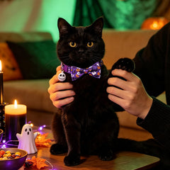 PUPTECK collier avec clochette visible, permet repérer facilement le chat