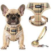 PUPTECK harnais beige face avant montrant coupe confortable