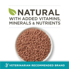 Purina ONE contenu ouvert dans une cuillère montrant humidité et qualité