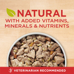 Purina ONE boîte ouverte montrant contenu et apport appétent