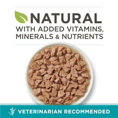 Purina ONE gros plan sur la texture montrant des morceaux appétissants, favorise l’acceptation
