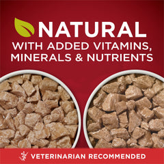 Purina ONE gros plan sur la texture tendre montrant appétence et qualité
