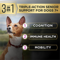Purina Pro Plan petit chien senior mange, favorise vitalité quotidienne