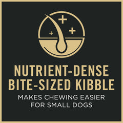 Purina Pro Plan gros plan croquettes petites bouchées faciles à mâcher