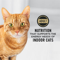 Purina Pro Plan gros plan croquette montrant texture croquante bénéfice mastication et satisfaction