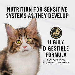 Purina Pro Plan gros plan croquette, montre texture et appétence pour chaton
