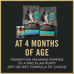 Purina Pro Plan portion servie avec croquettes pour transition alimentaire facile