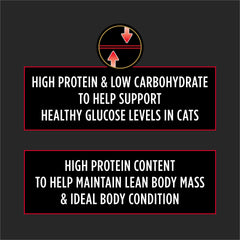 Purina Pro Plan Veterinary Diets gros plan croquettes illustrant appétence et protéines