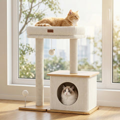 Purrlato vue de face montrant stabilité et design boho