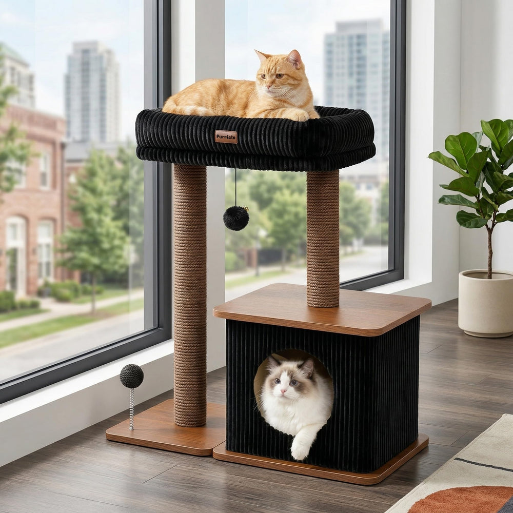 Purrlato vue avant complète montrant stabilité et design boho